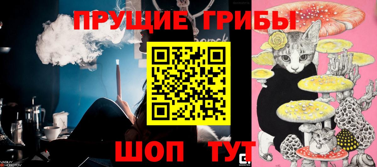 Псилоцибиновые грибы MAGIC MUSHROOMS  Вход с VPN  Красногорск 